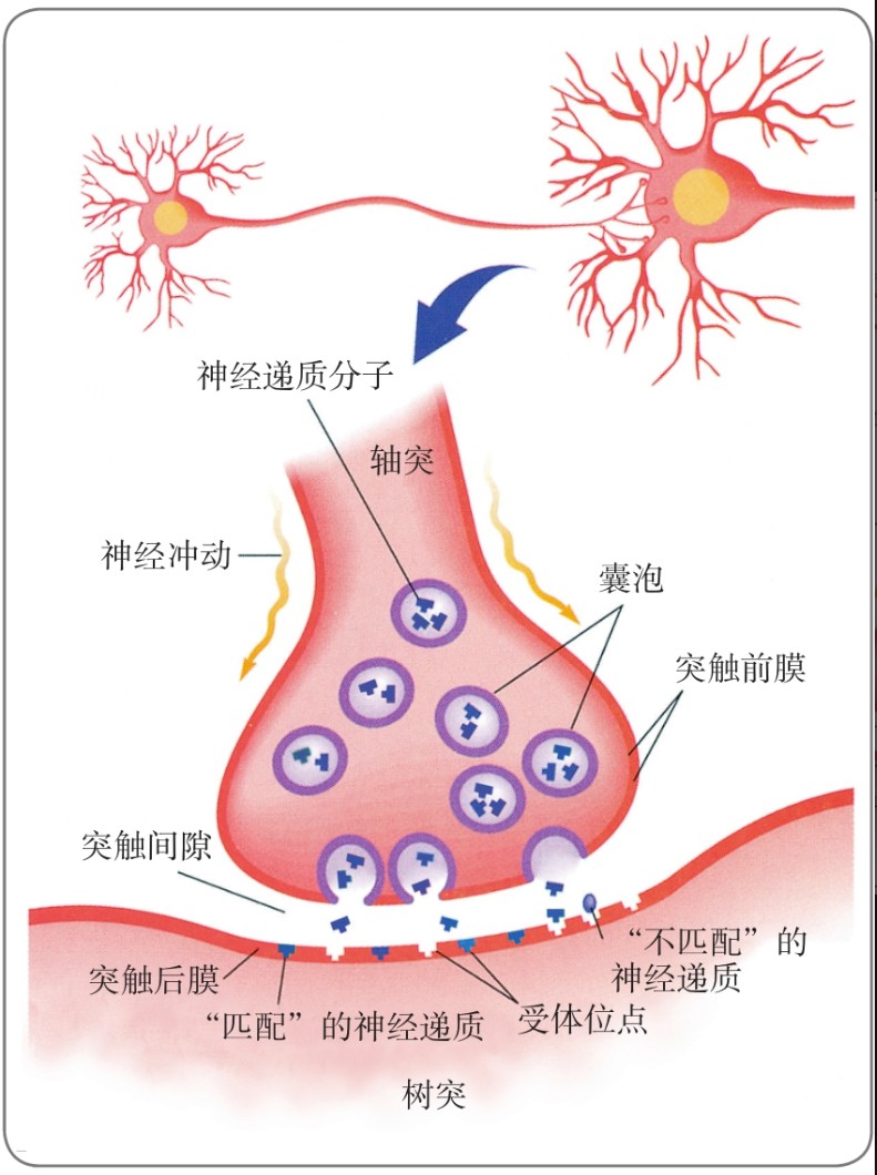 image-20260121174923956