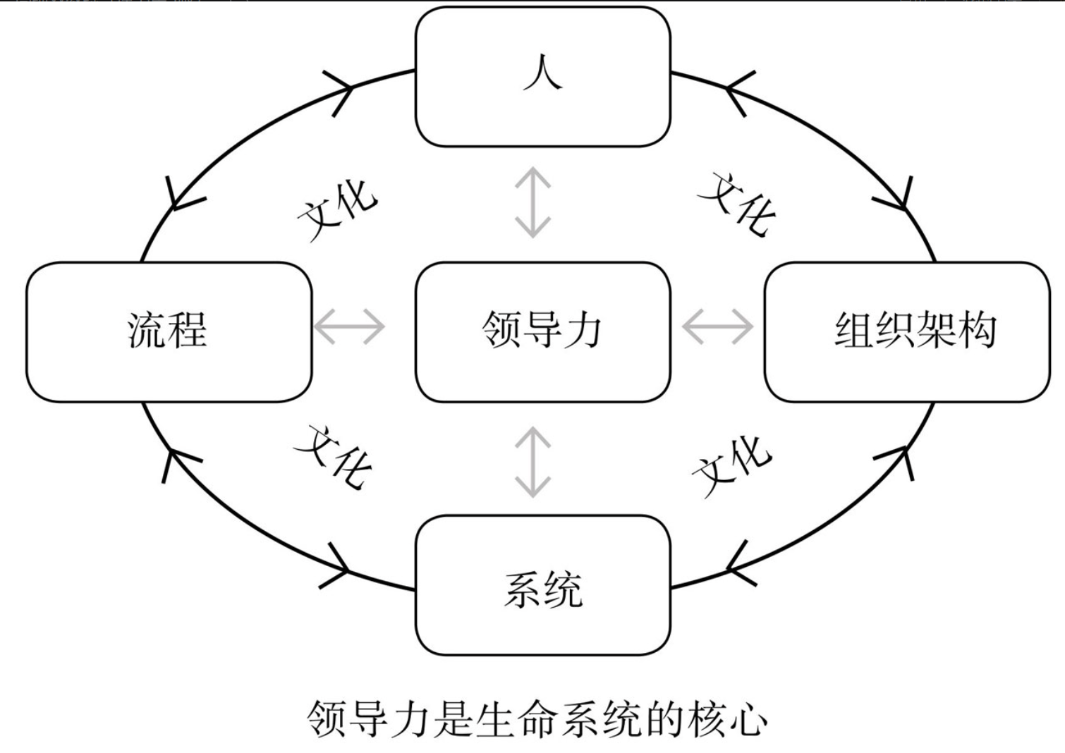 image-20250806205758891